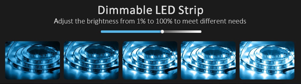 LED Strip Light ,RGB 5050/SMD2835, Flexible Ribbon, DIY Led Light Strip RGB Tape Diode DC 12V bluetooth Christmas lights