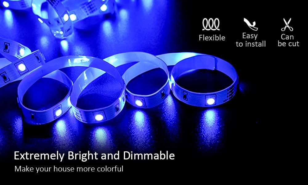 LED Strip Light ,RGB 5050/SMD2835, Flexible Ribbon, DIY Led Light Strip RGB Tape Diode DC 12V bluetooth Christmas lights
